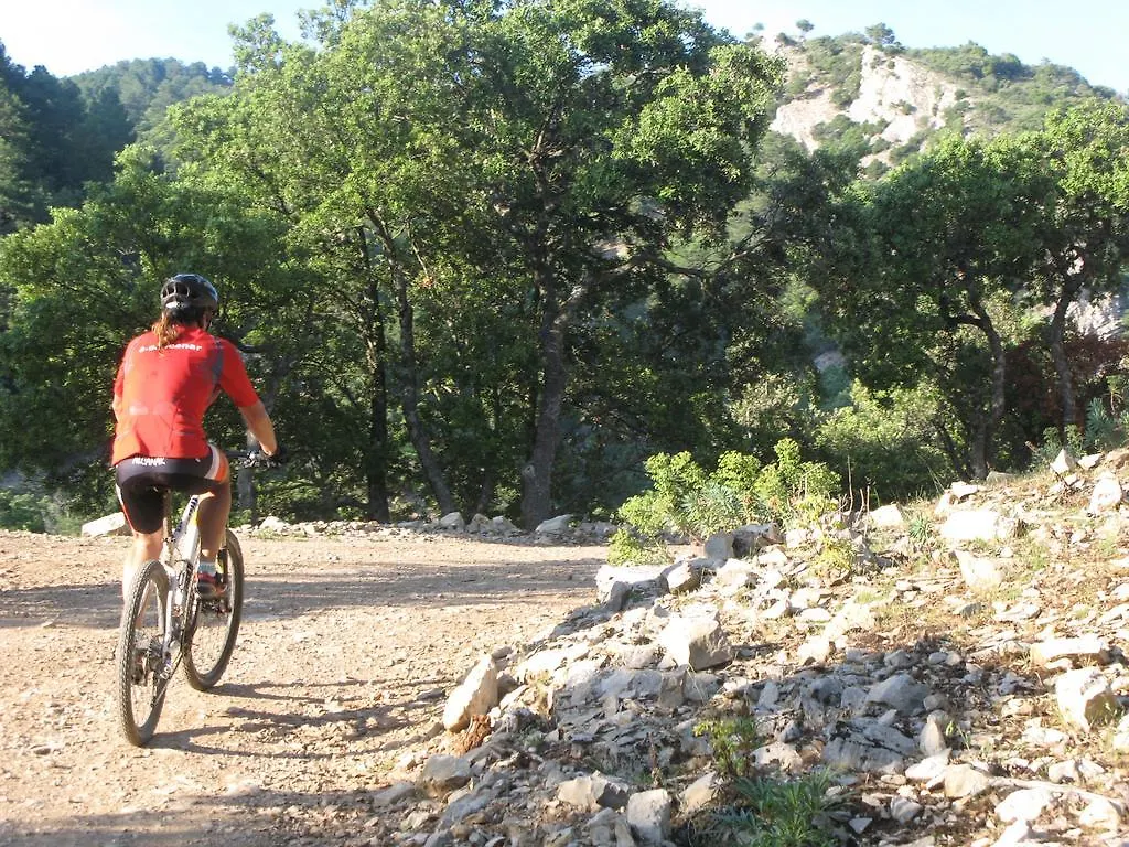 La Caseta Del Port Alfara de Carles Casa rural